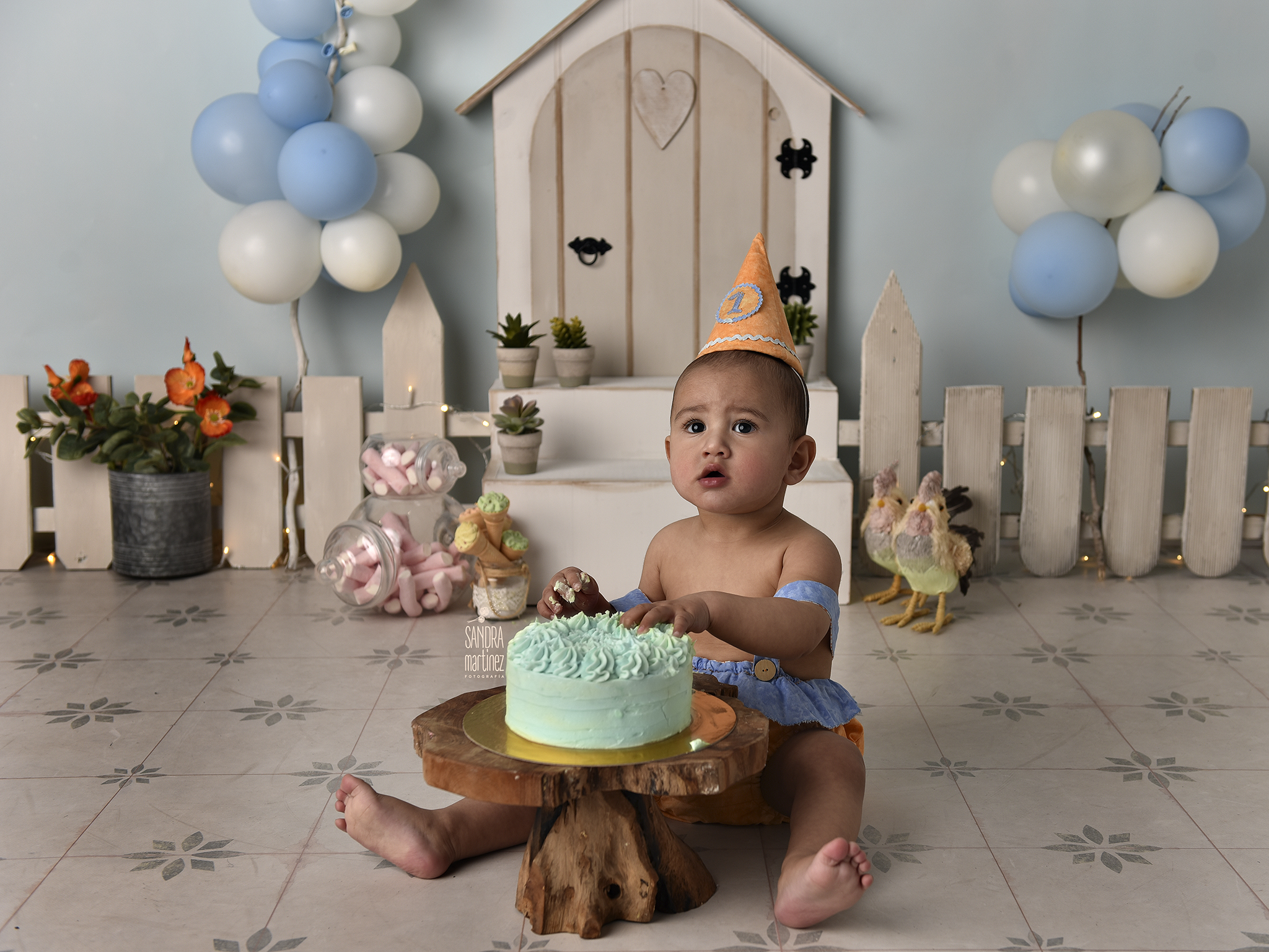 sesioncumpleaños-smashcake-fotograforipollet-miprimercumpleaños-1